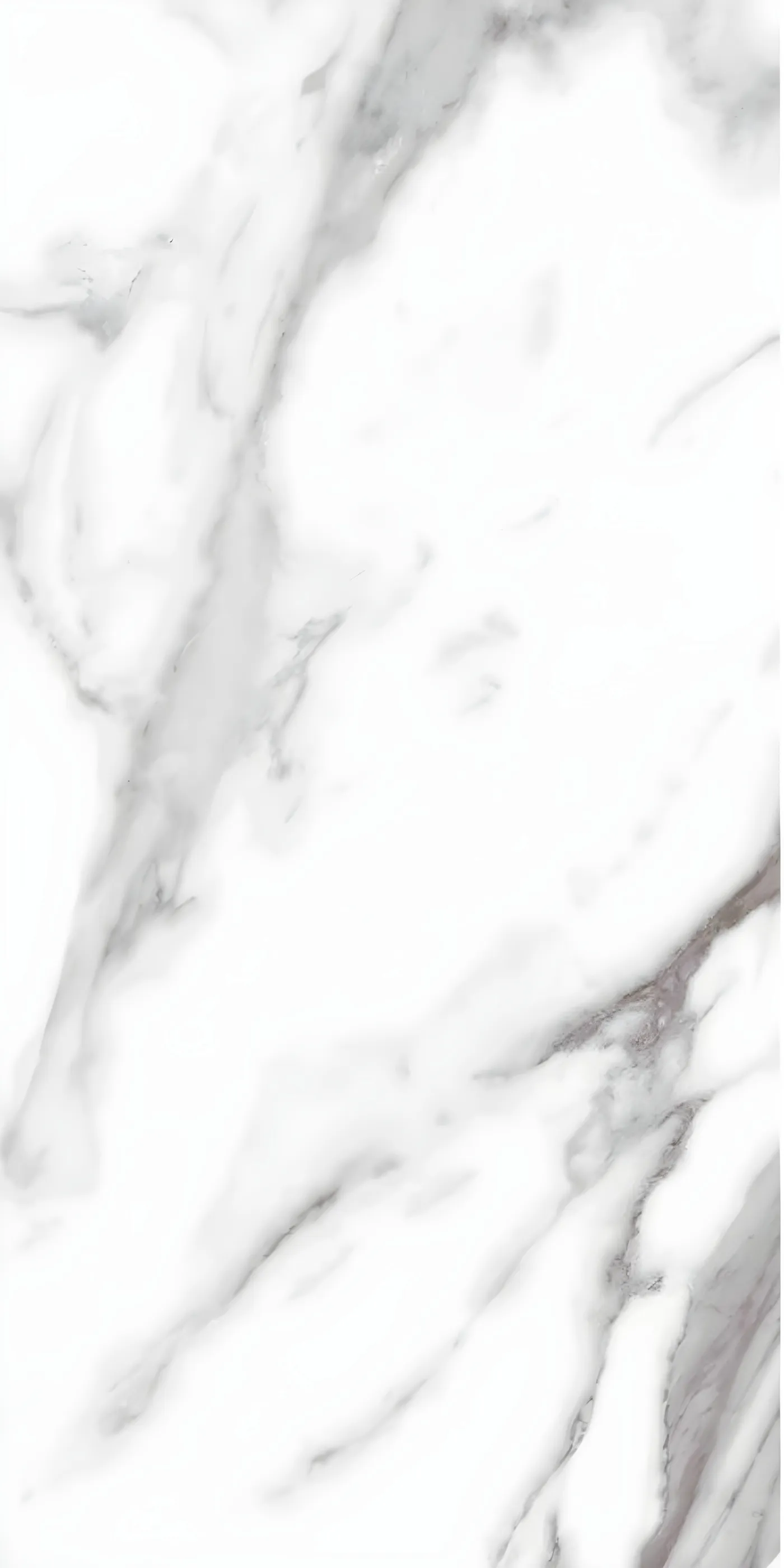 Calacata Brillo Rec Glossy