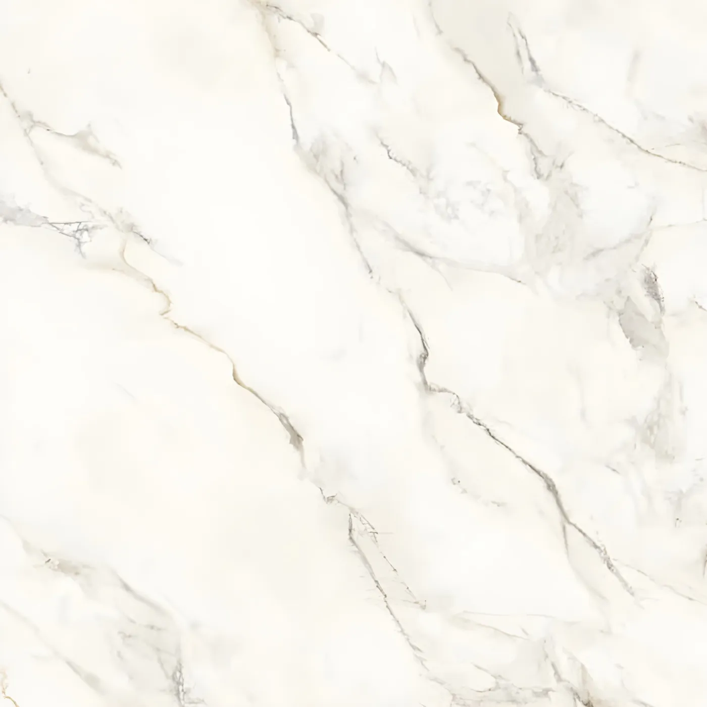 Calcatta Reale Polish