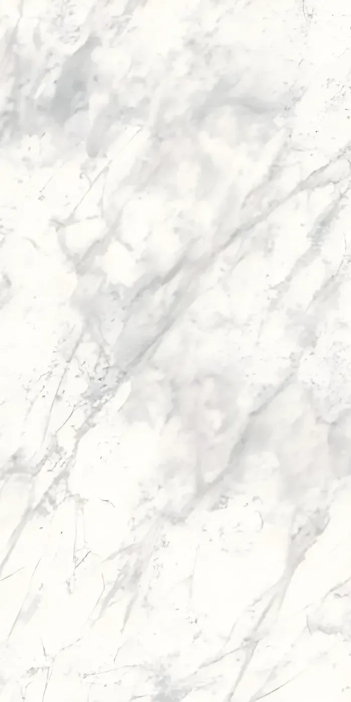 Bardiglio Bianco - Lucido
