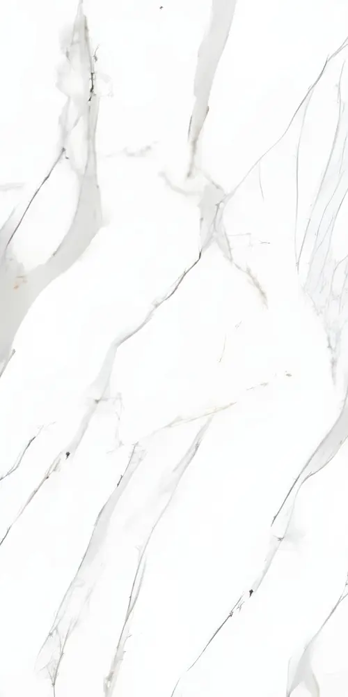 33557 Glossy