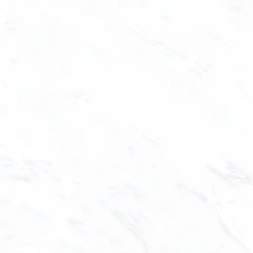 Arctic Bianco Glossy