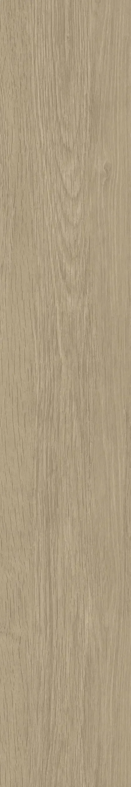 Feelwood Oak Matt